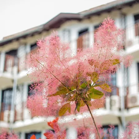 Hotel Sol Slantchev Briag